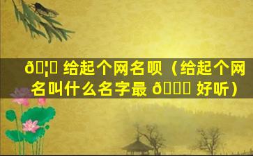 🦆 给起个网名呗（给起个网名叫什么名字最 🐕 好听）